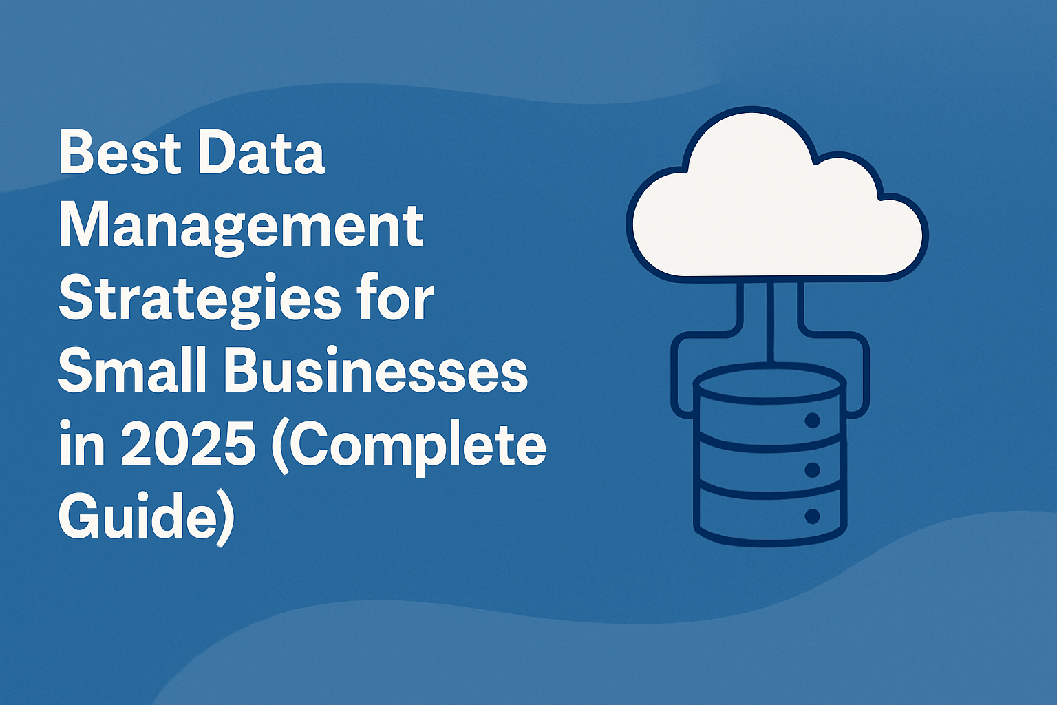 data management for small businesses